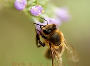 ddos攻击防御手段